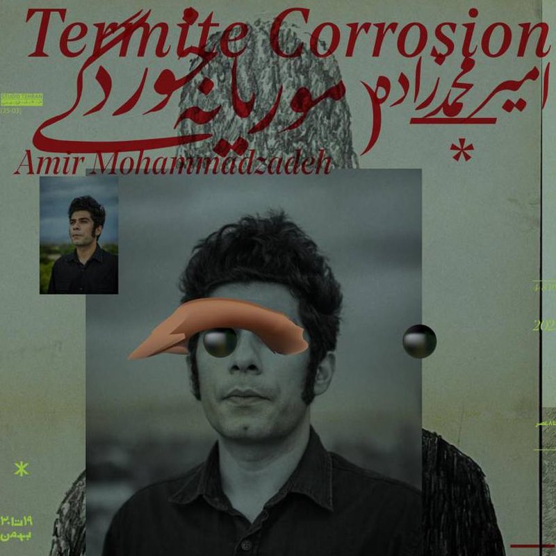 موریانه‌خوردگی