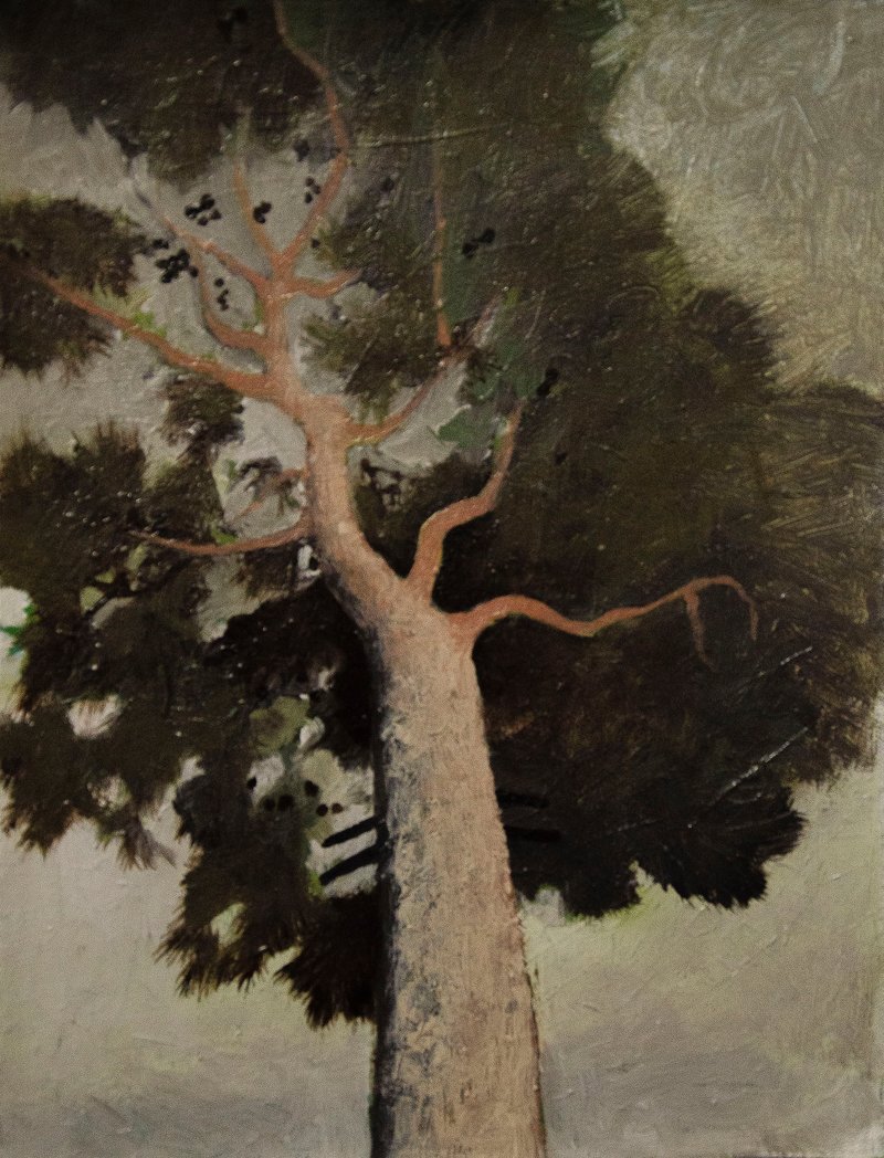 Anahita Darab Beigi, Untitled, 2022