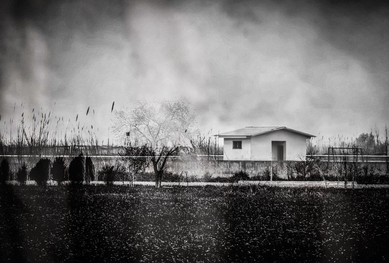 Narges Ranjbar, Untitled, 0