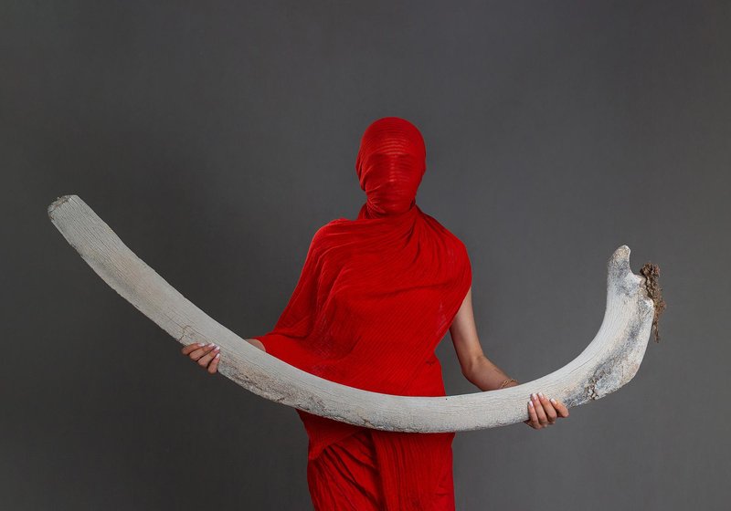 Alireza Memariani, Untitled, 2022