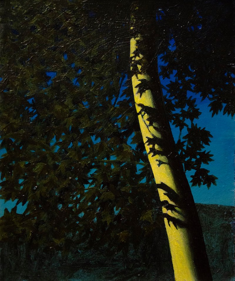 Anahita Darab Beigi, Untitled, 2022