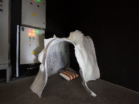 Memebrain, Installation view.
