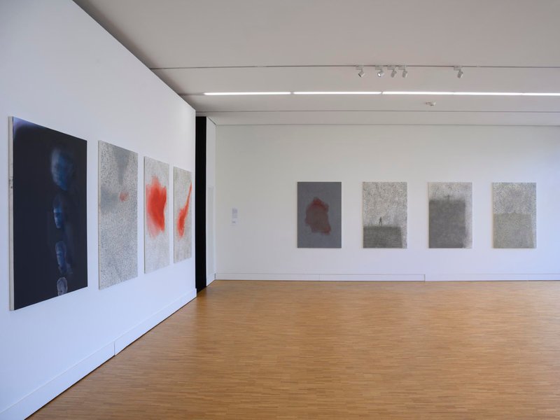 Death Fan, installation view