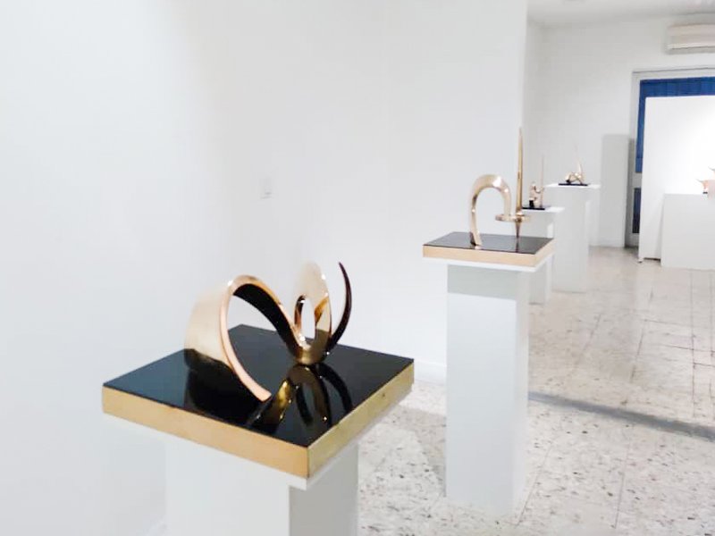 The Animal Illusion, installation view