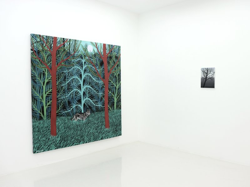 My Neighbour Wolf, installation view