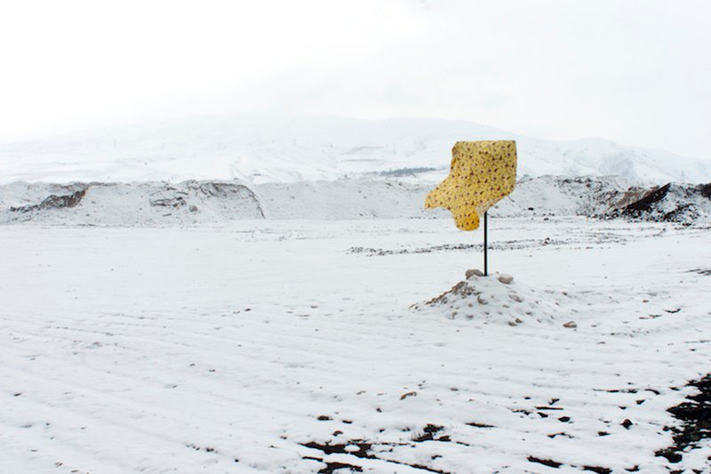 Neda Zarfsaz, Covering Winter to Spring , 0