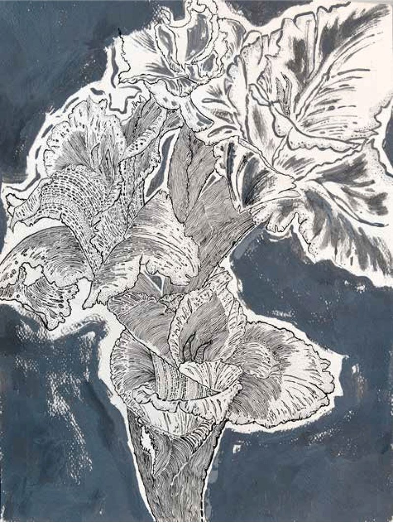 Shirin Karami Mofrad, Untitled, 2024