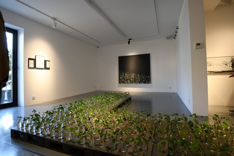 The Grown, installation view