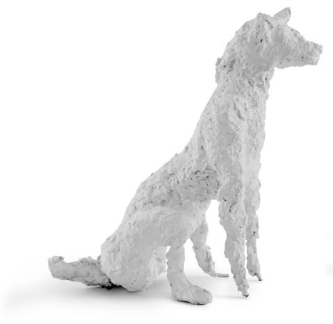 Bita Fayyazi, D O G, 2020