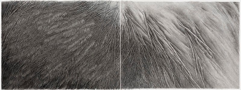 Nafiseh Sedighi, Untitled, 2019