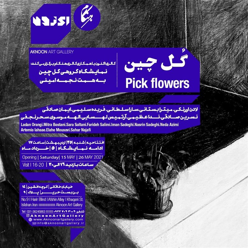 Pick Flowers