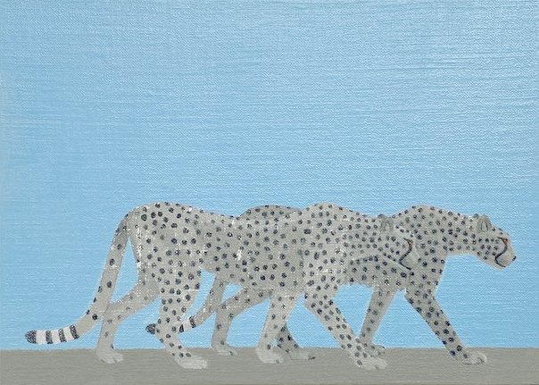 Maryam Amiryani, Safari: Cheetahs, 2022