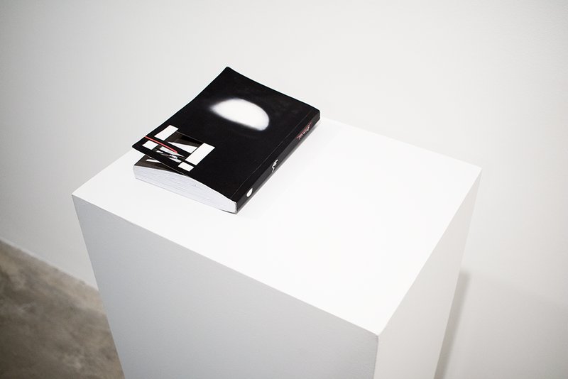 The Metamorphosis, installation view