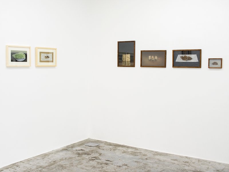 Group Exhibition Selected by Samaneh Samimi, installation view