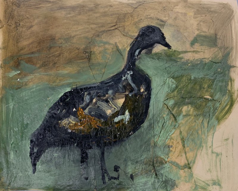 Negin Sadaf, Untitled, 2020
