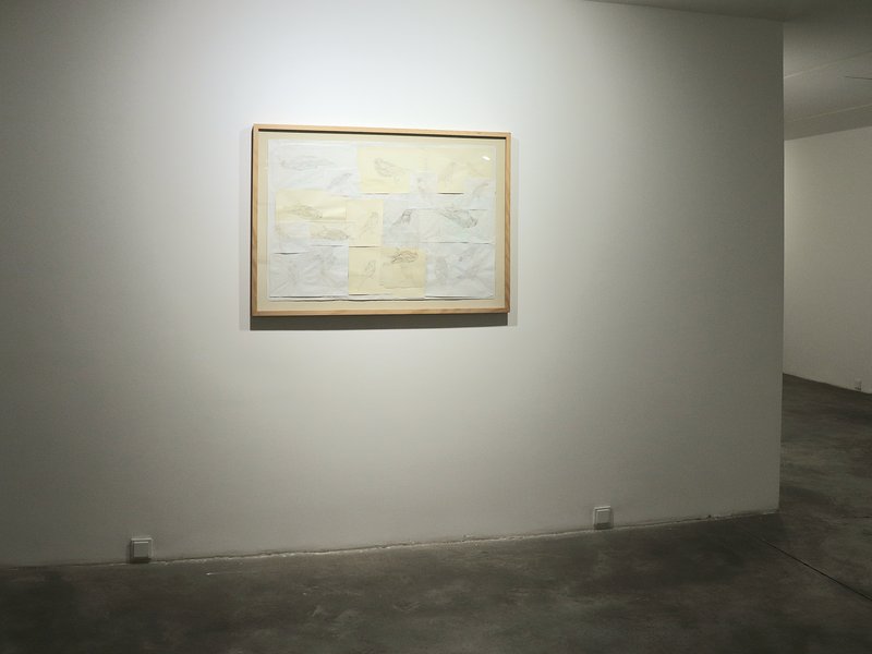 Skin, installation view