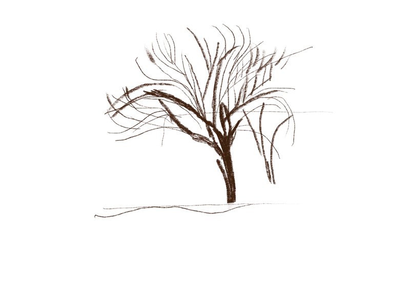 Kimia Dehghan, Winter, 2022