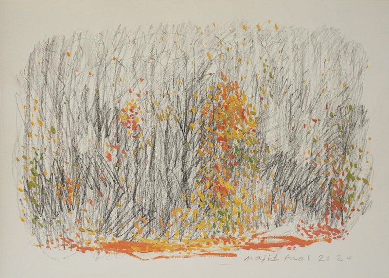 Majid Faal, Untitled, 0