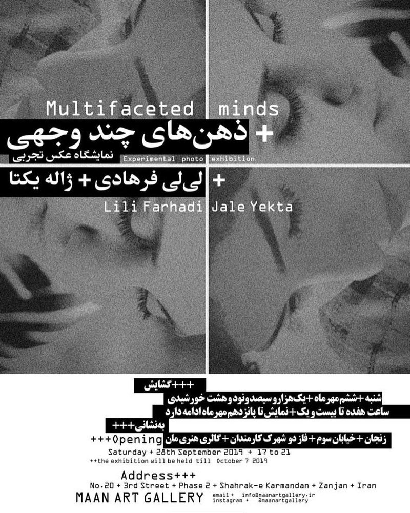 ذهن‌های چند وجهی
