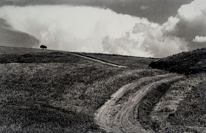 Abbas Kiarostami, Untitled, 0