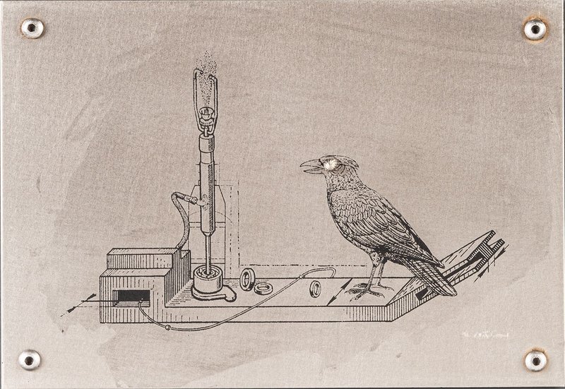 Amir Nasr Kamgooyan, Untitled, 2012
