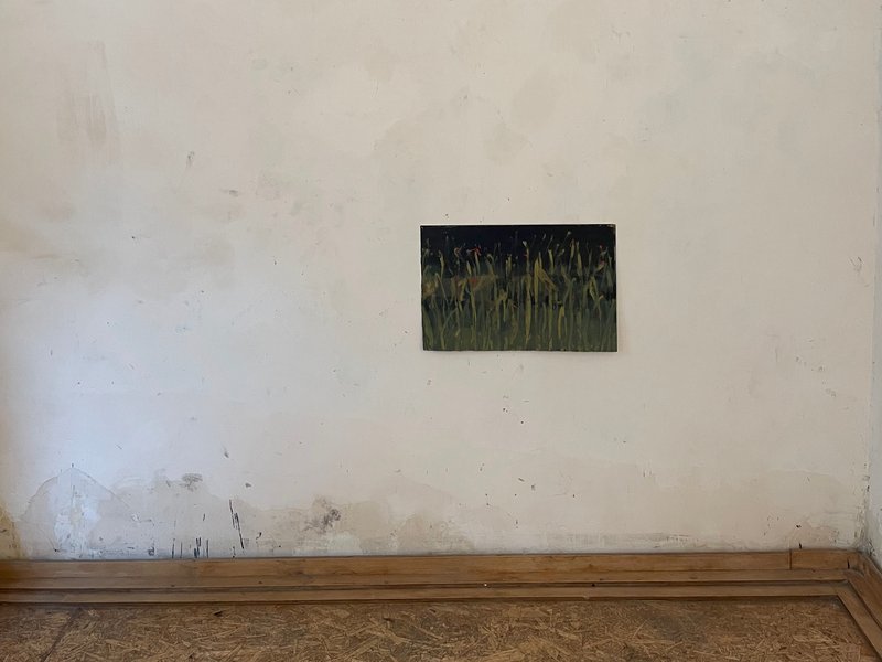 Manzareh, installation view