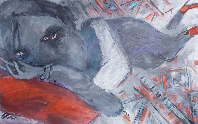 Kiomars Harpa, Untitled, 0