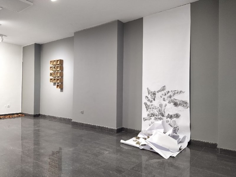 Psycho-Somatic, installation view