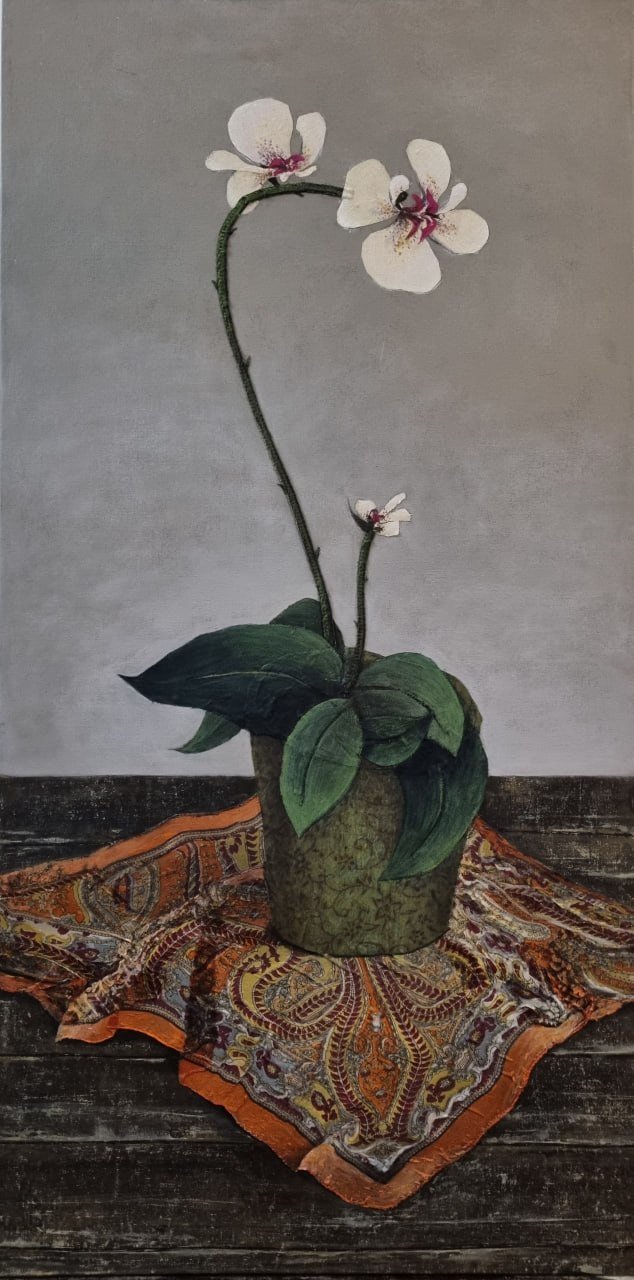 Mahta Moeini, Untitled, 0