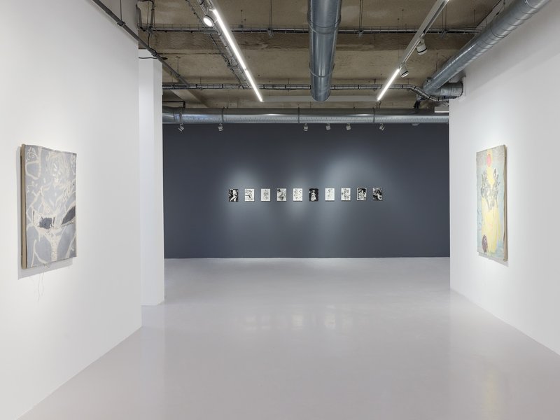 Missed Mist, installation view