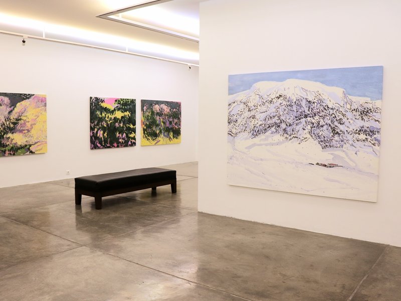 The Mountain Ahead, installation view