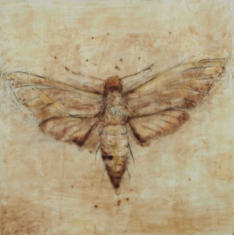Avish Khebrezadeh, Uncertainty 3, 2014