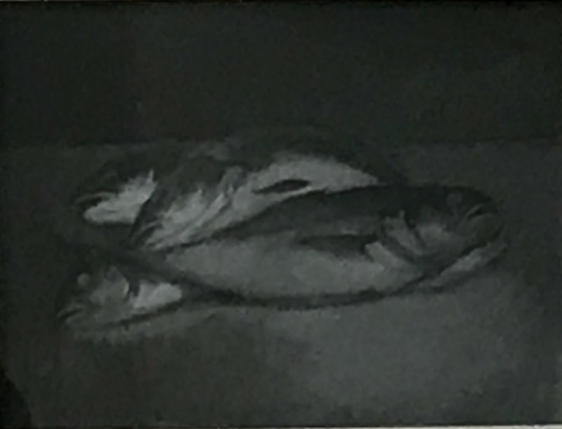 Mirmohamad Fatahi, Untitled, 2017