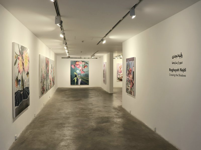 Crossing the Shadows, installation view