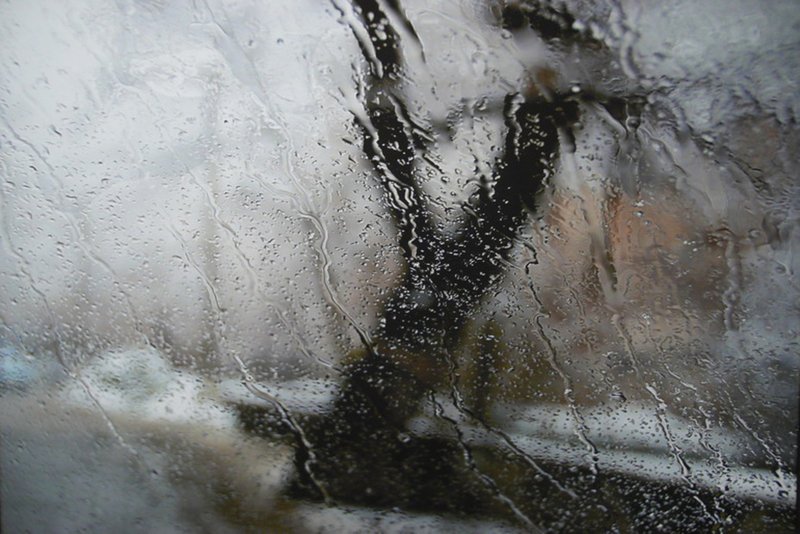 Abbas Kiarostami, Wind and Rain 56, 0