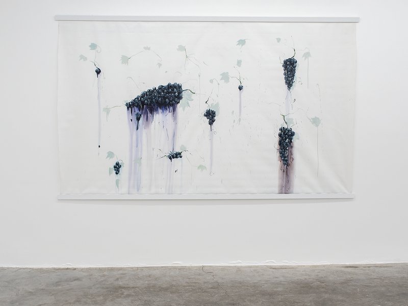 I Made Wine and It Turned To Grapes, installation view
