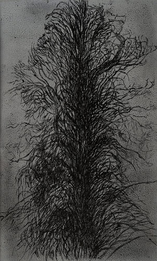 Samaneh Samimi, Untitled, 2021