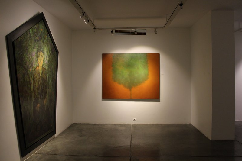 Shared Memory, installation view