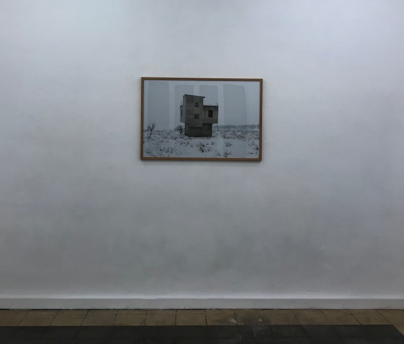 Ag Talent, installation view