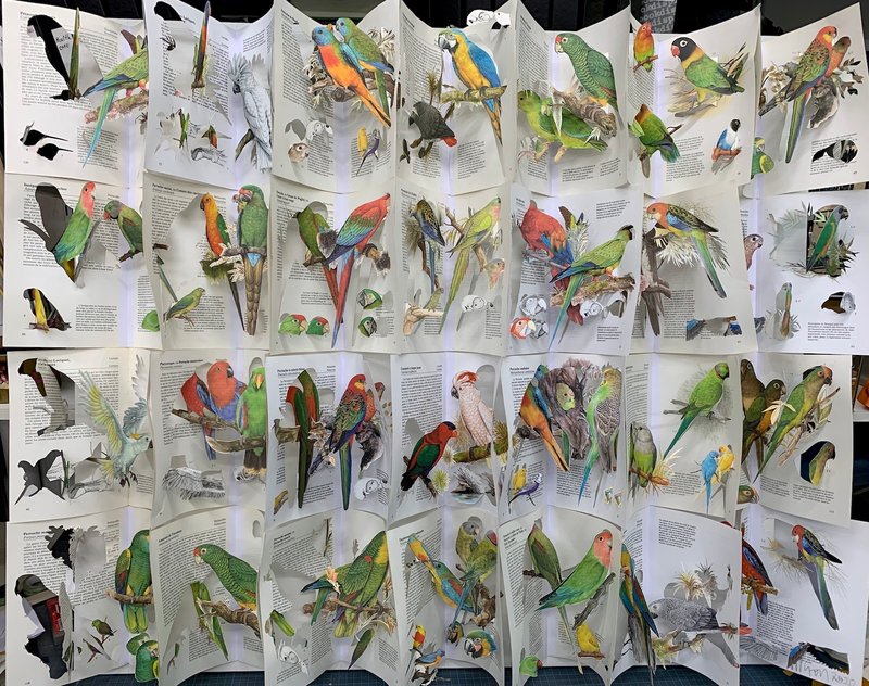 Jack Milroy, The Librarian's Parrots, 2020