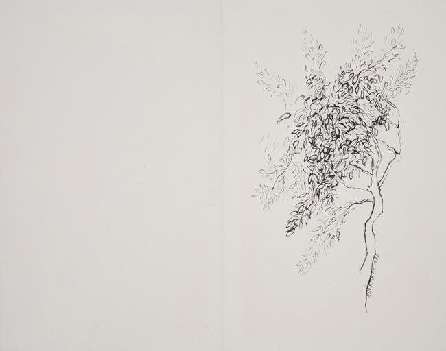 Monir Shahroudy Farmanfarmaian, Branch of Tree, 1986