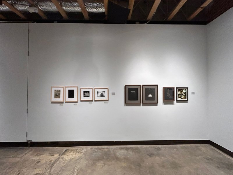 Land, Body & Archive, installation view