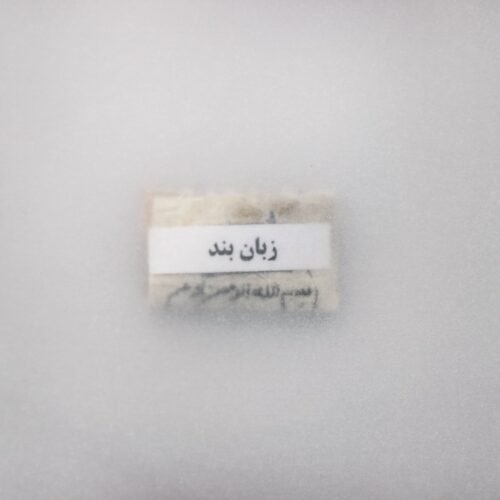 آیدین باقری، بدون عنوان، 1400