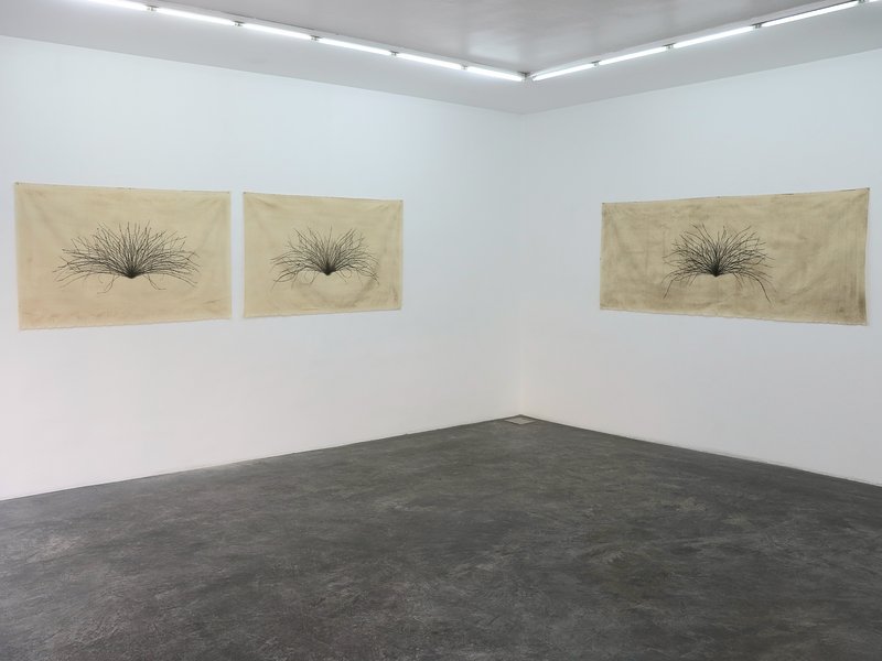 Metal Seed, installation view
