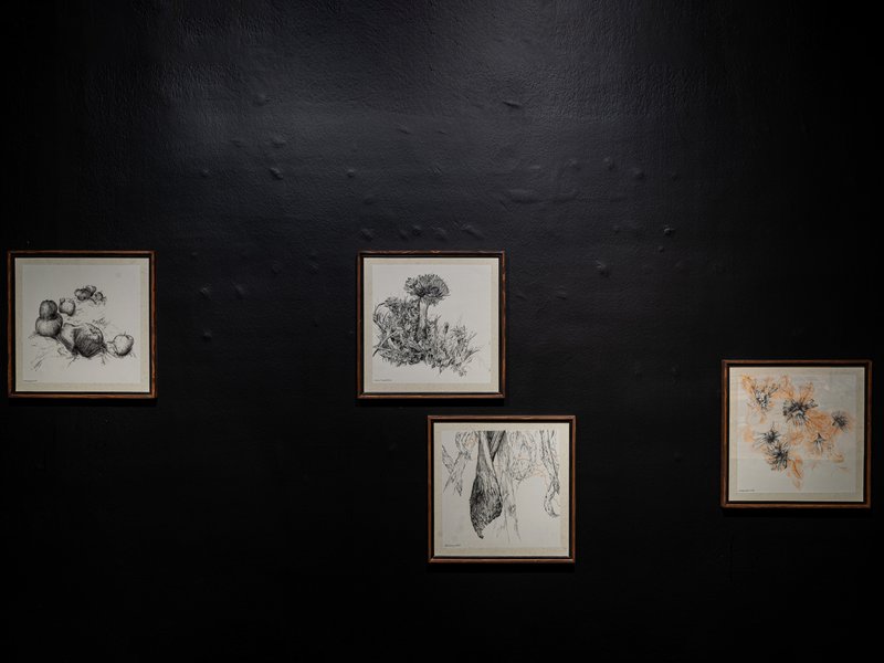 Locus, installation view