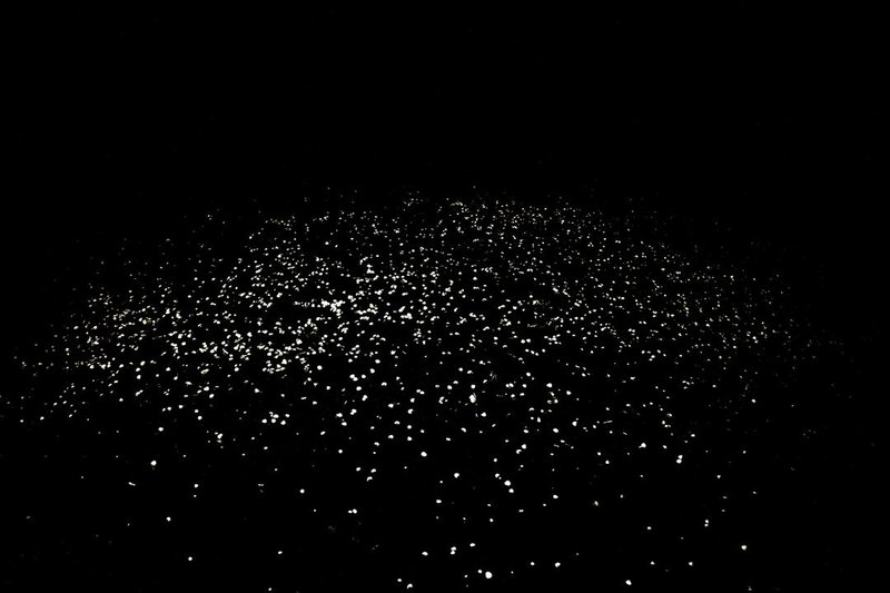 Sana Ahmadizadeh, Untitled, 0