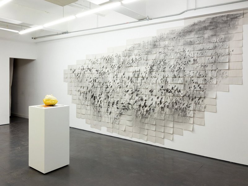 A Discourse of Accord, installation view