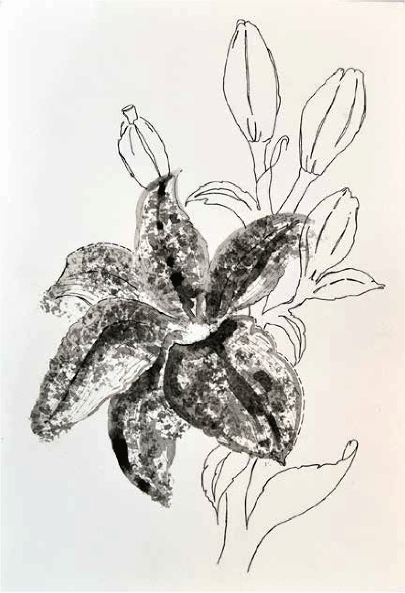 Shirin Karami Mofrad, Untitled, 2024
