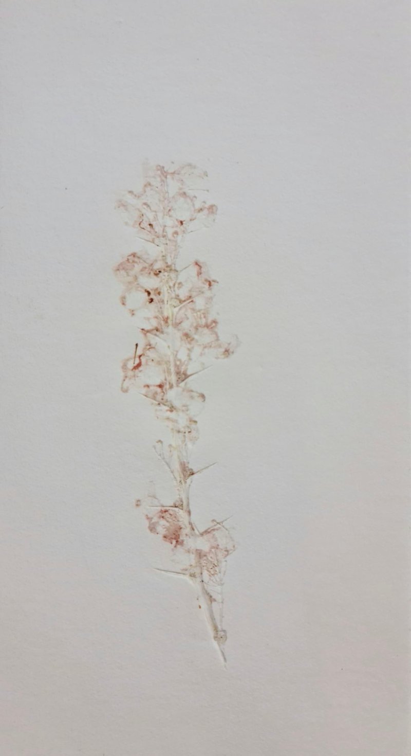 Untitled, 0