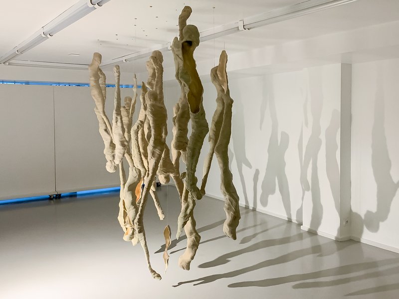 Shroud, installation view